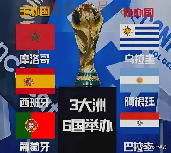 世界杯投注平台哪个好？围绕官网直达做一次全面整理（世界杯官方信息）